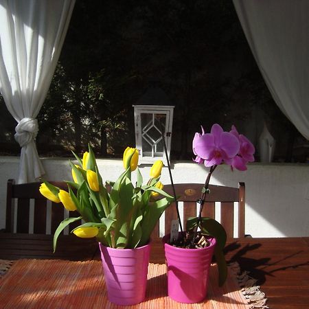 Apartment Villa Holiday II Pula Exterior photo